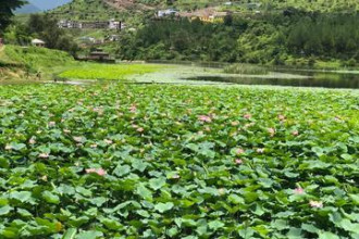 रुकुमको कमलदहमा डुबेर एक जनाको मृत्यु