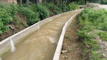 कुलोले बगाउँदा दाङमा एक महिलाको मृत्यु