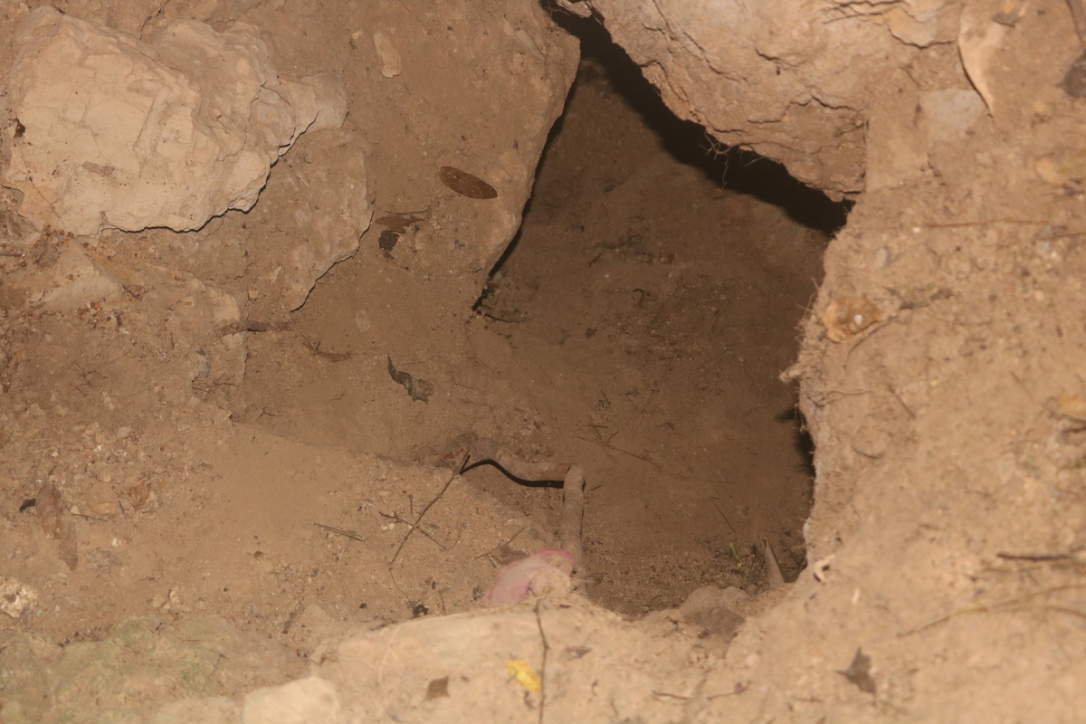 संरक्षण र प्रचार प्रशारको अभावमा ओझेल पर्यो डोँटे गुफा फोटो फिचर